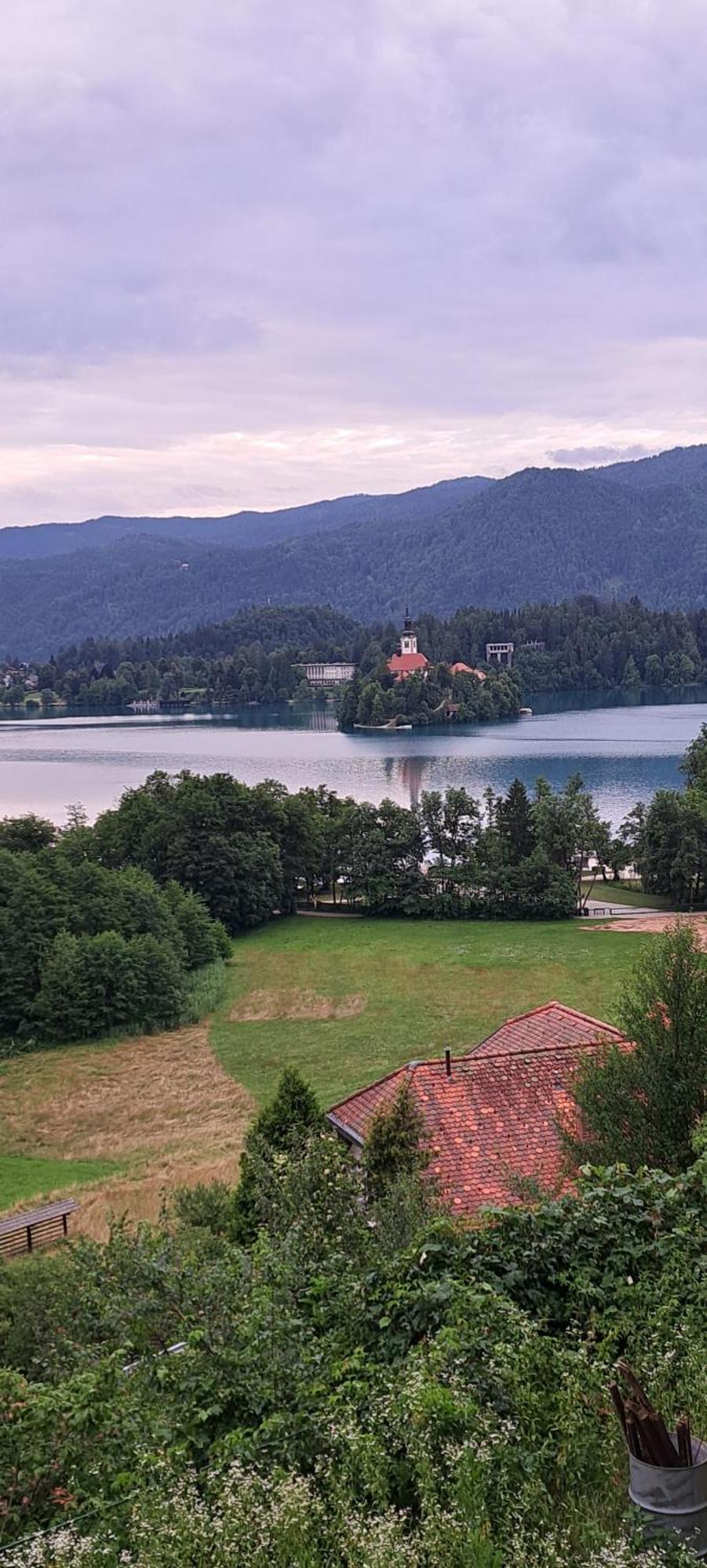 Ferienwohnung Apartma Bine Bled Exterior foto